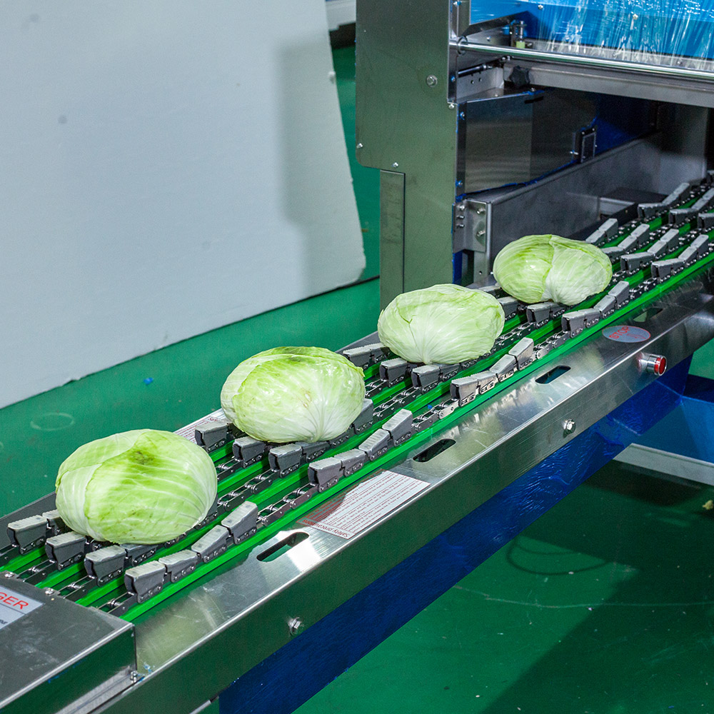 fruits and vegetables packaging machines