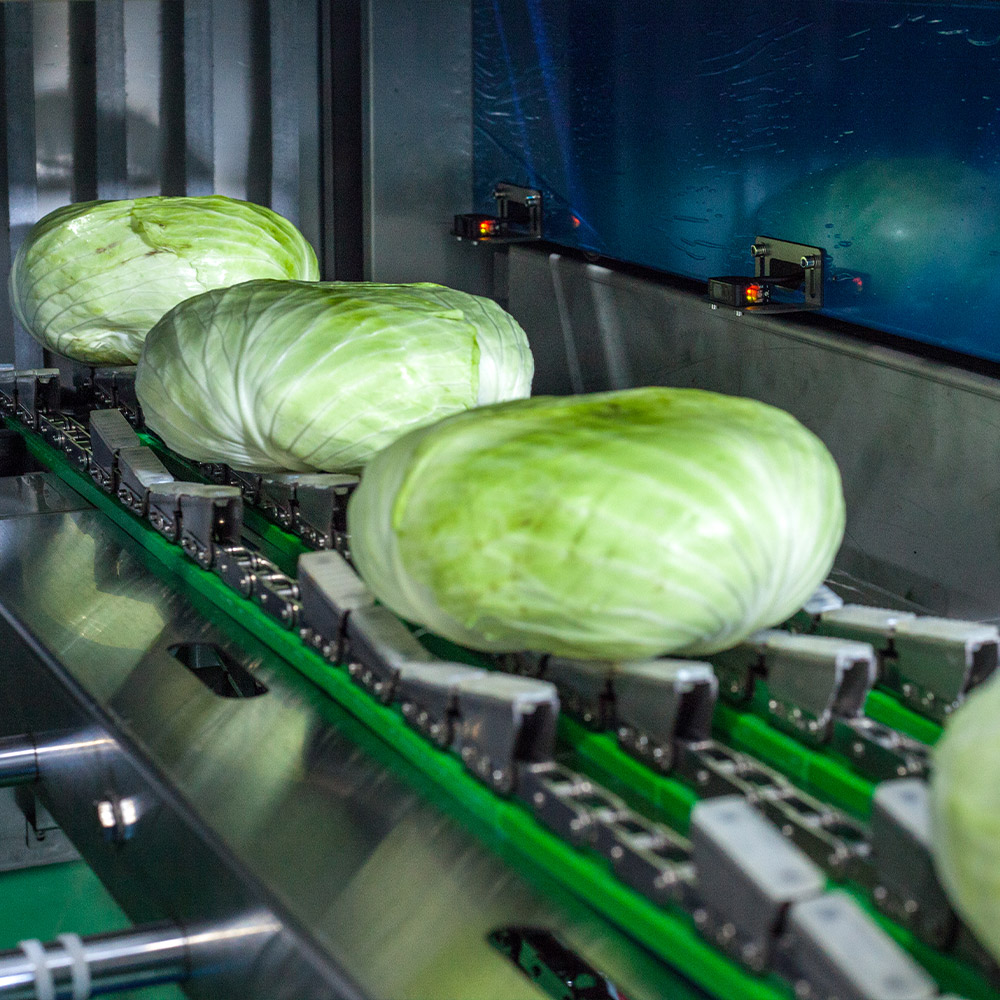 vegetable packing machine price