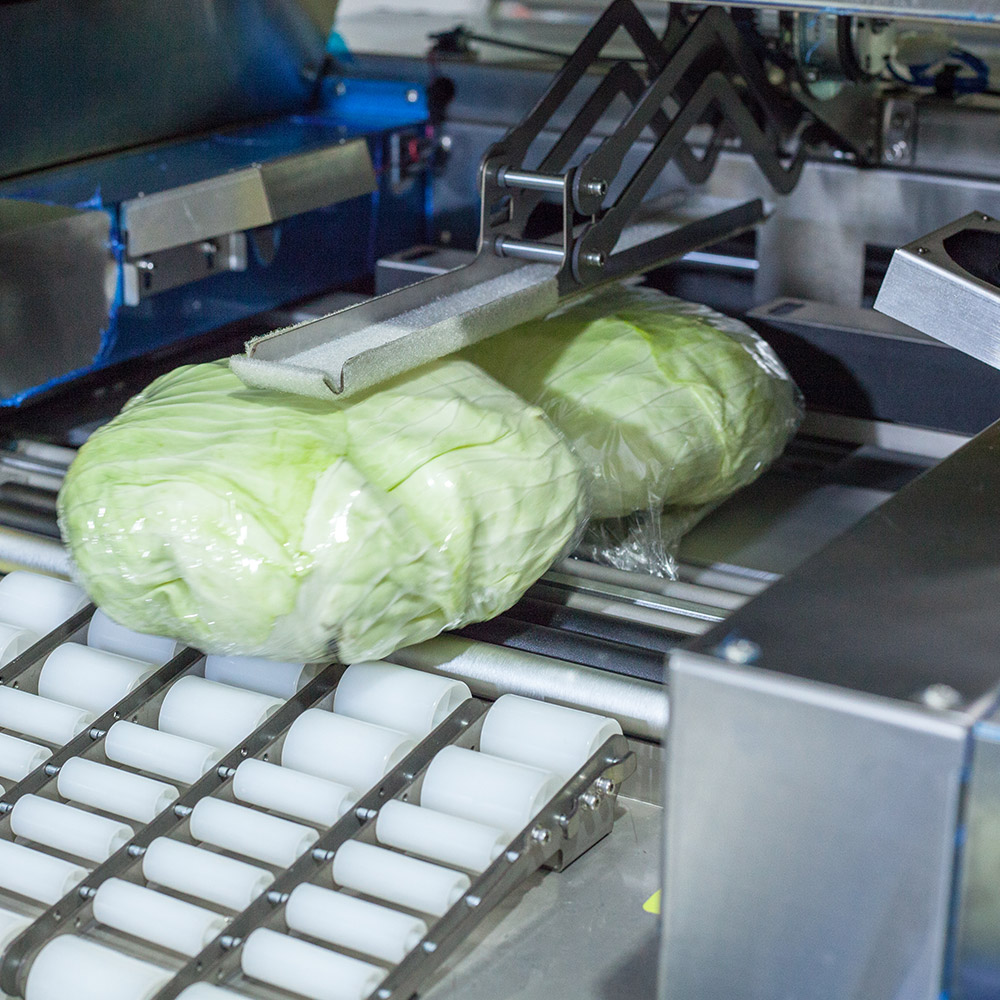 horizontal flow wrap machine