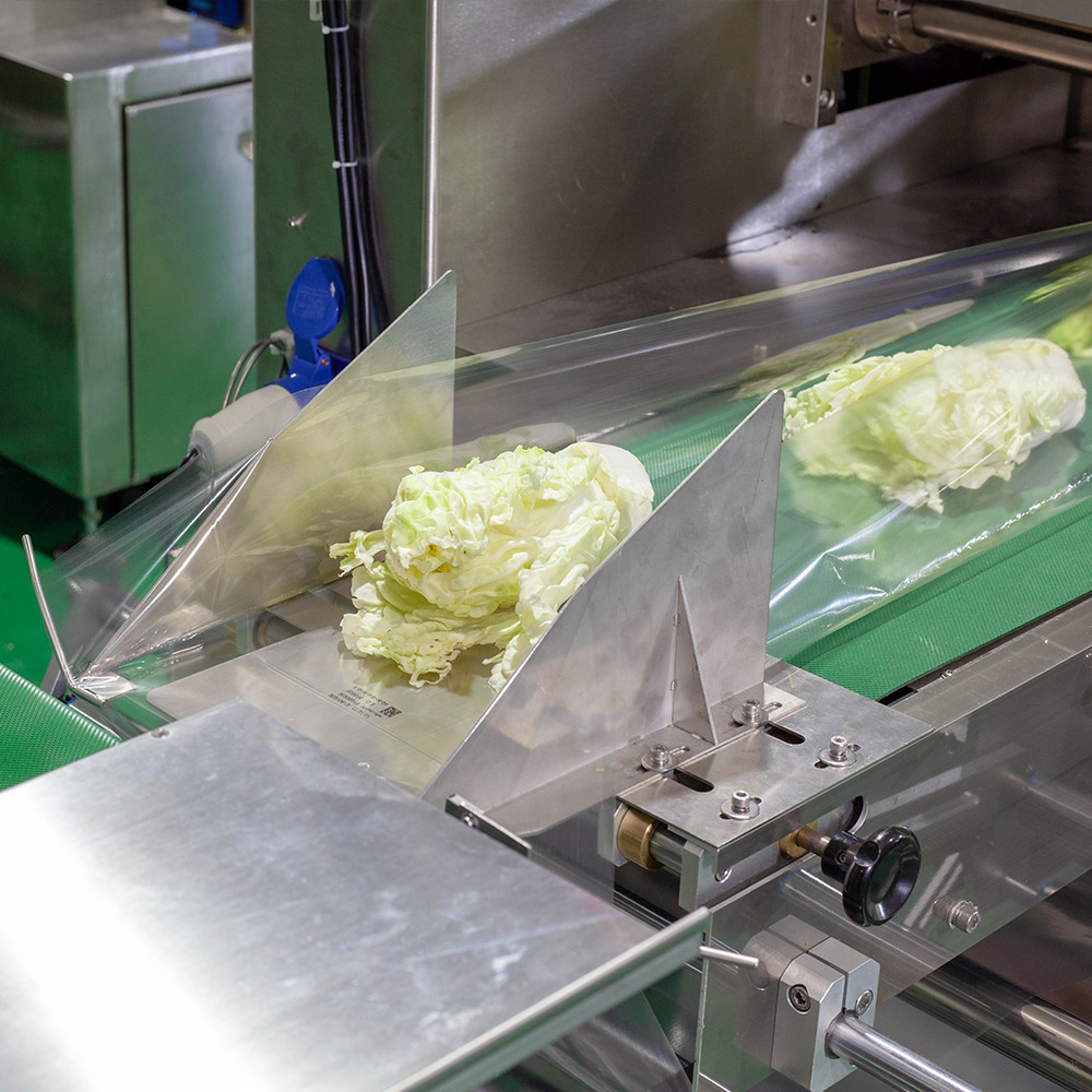 onion packing machine