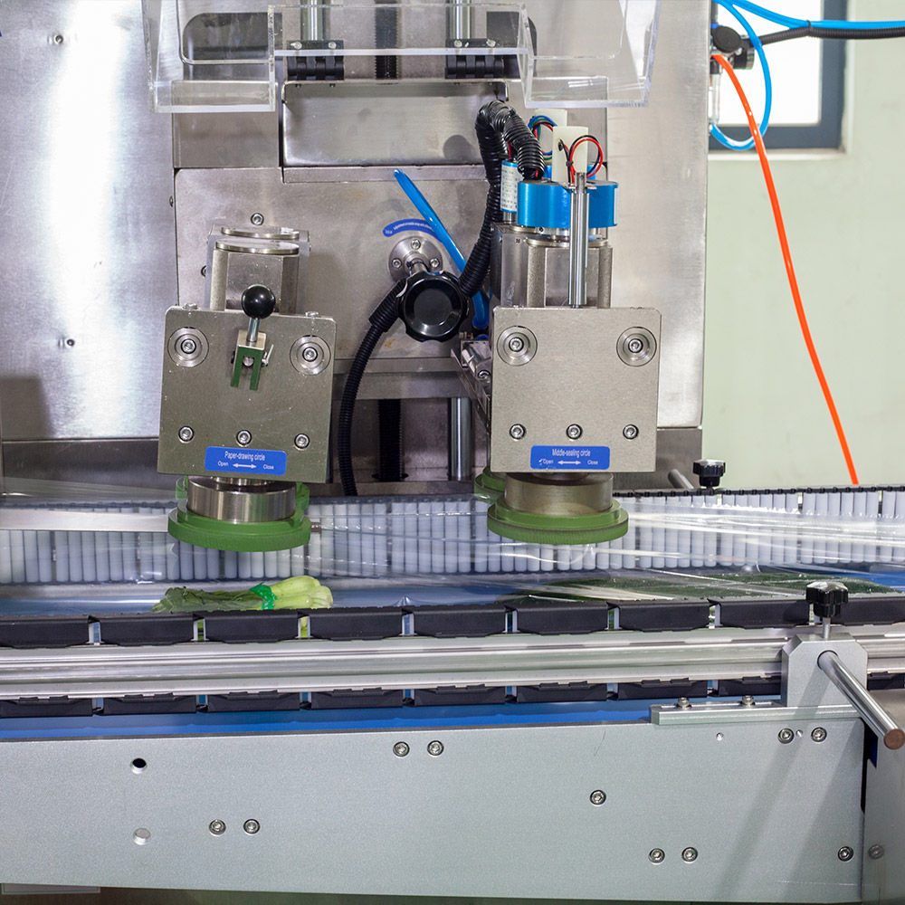 vegetable packaging machine