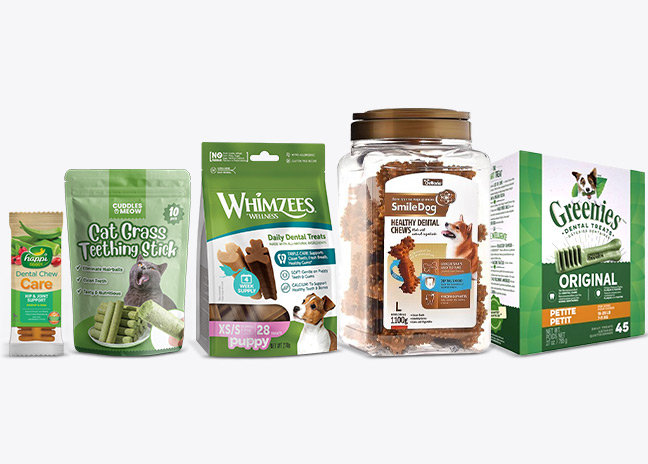 Automatic Multifunction Pet Treats Packing Machine Solutions