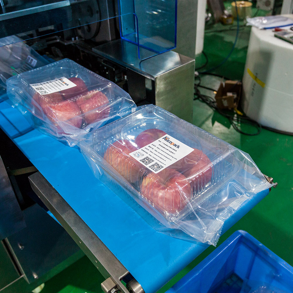 horizontal pouch packing machine