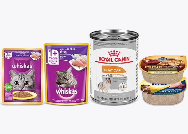 Automatic Pet Dog Cat Wet Food