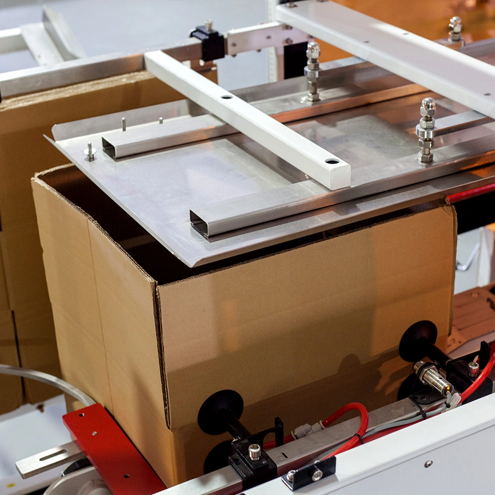 automatic cardboard box case erector