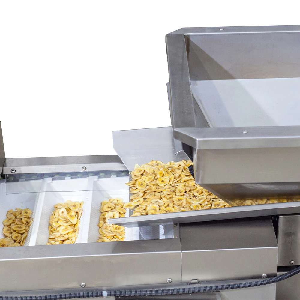 packaging machine for chips