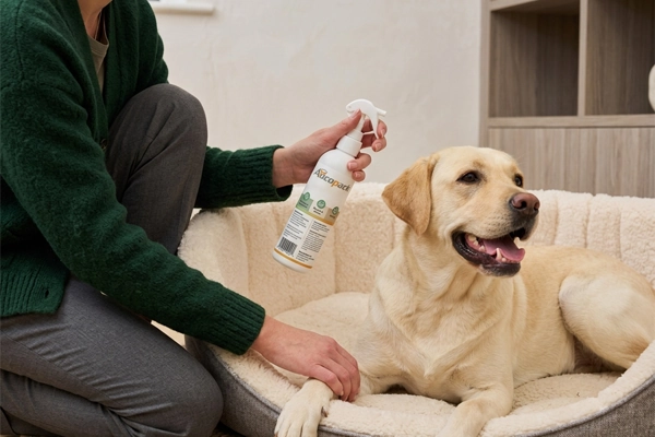 Pet Care & Hygiene Packaging Machine